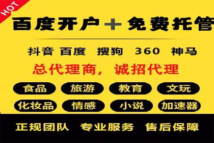 探索SEM推广代运营的奥秘：成功背后的故事
